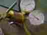 341-0781-1445 Victor Sr4j-540 High Pressureregulator 716352082501 341-0781-1445 Victor Sr4j-540 High Pressureregulator 716352082501