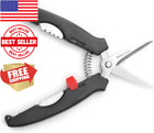 5979 Nantucket Seafood Lobster Shears Stainless Steel With Plastic Handle 7 X