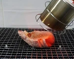 Enhanced Torch Attachment Stainless Steel Bbq, Broiler Cr. Fixed Price $48.99.