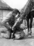 WW2 Wwii Photo World War Two /german Solder With His Horse 2733. Fixed Price $6.99.