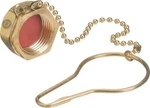 Western Enterprises DC-B7 CGA-022 Nut Chain Dust Cap Brass Gas Cylinder New. Fixed Price $12.99.