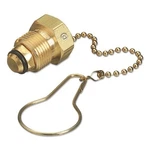 Chain And Plug Assembly, 2-PC Nut 3000 Psig, Brass,. Fixed Price $25.13.