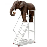 6 Step 1213 Lbs Carbon Steel Rolling Platform Ladder Safety Non-slip Stairs. Fixed Price $449.99.