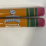 Lehigh Valley Iron Pigs Mini Pencil Baseball Bats Set Of 2. Fixed Price $19.95.