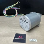 New- Sanyo Denki 103-810-1 Step-syn Synchronous Stepping Motor + Warranty. Fixed Price $450.00.
